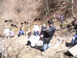 2007_0429_ゼロ磁場.jpg