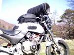 2007_0430_ホネ.jpg
